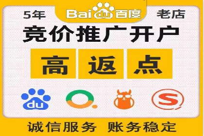 百度SEO推广成功案例：品牌知名度提升